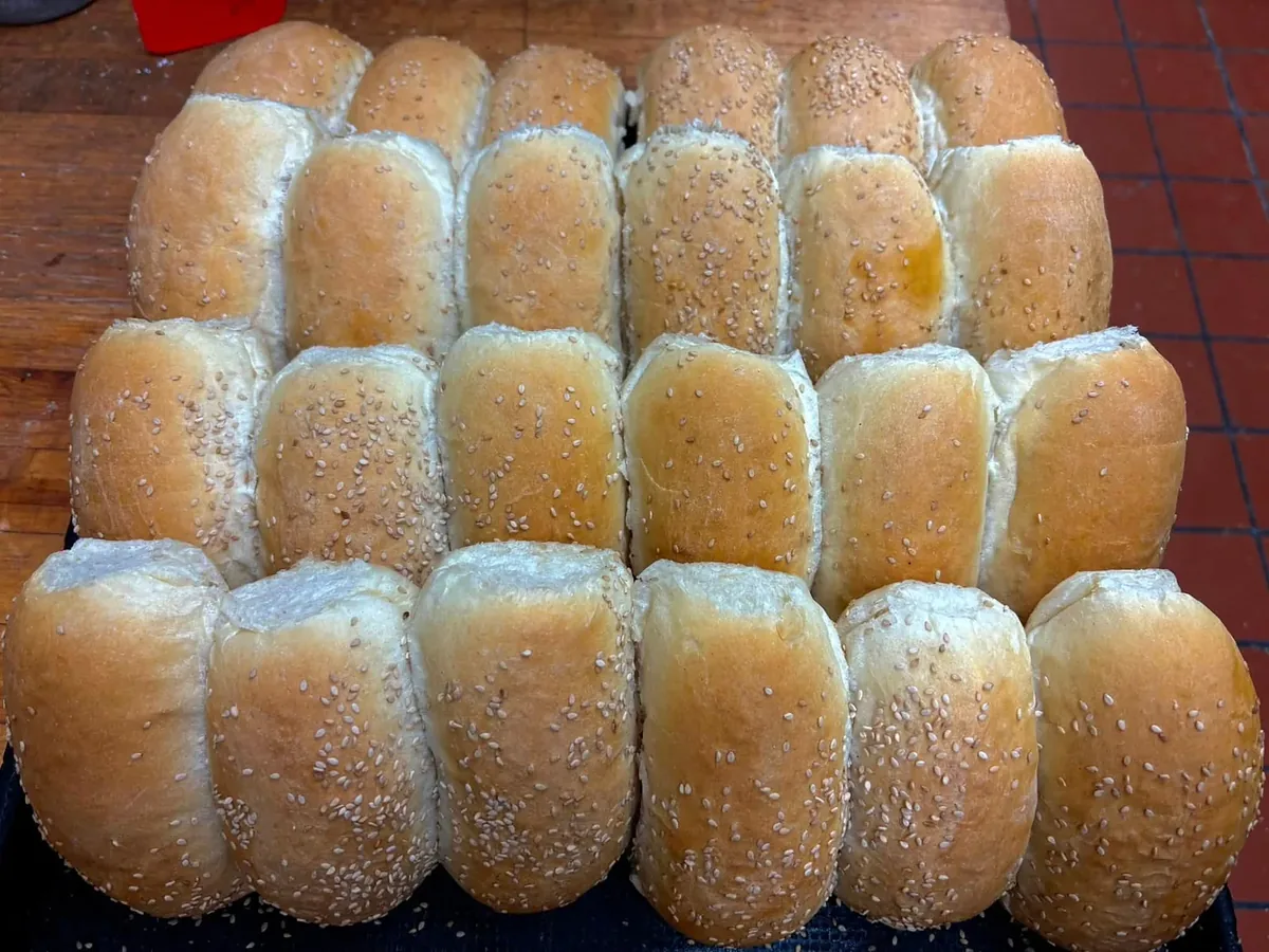 Rows of long sesame sub rolls on a baking sheet